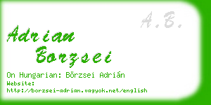 adrian borzsei business card
